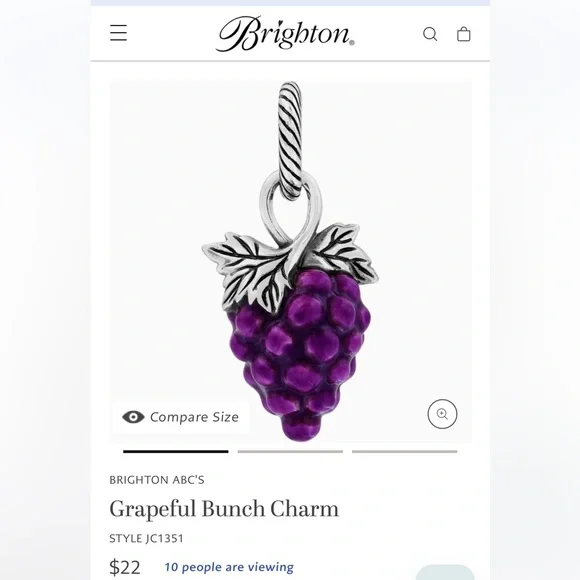 🆕 Brighton Grapeful Bunch charm Purple enamel grapes Silver leaves NWOT - Picture 4 of 7